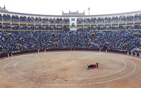 Tauromaquia - Qué es, historia, definición y concepto