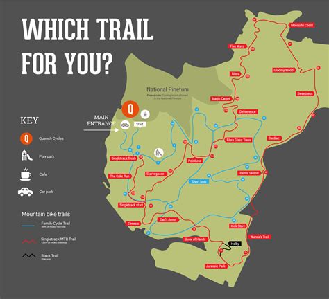 Trails at Bedgebury Forest - Bedgebury Boars