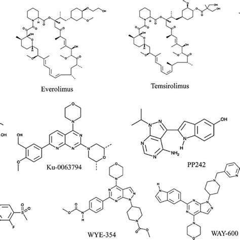 Chemical structures of mTOR inhibitors | Download Scientific Diagram