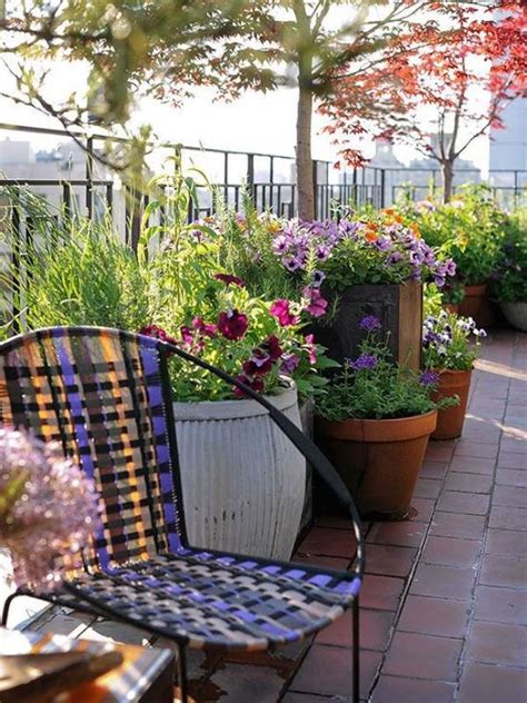 10 Tips to Start a Balcony Flower Garden | Balcony Garden Design | Balcony Garden Web