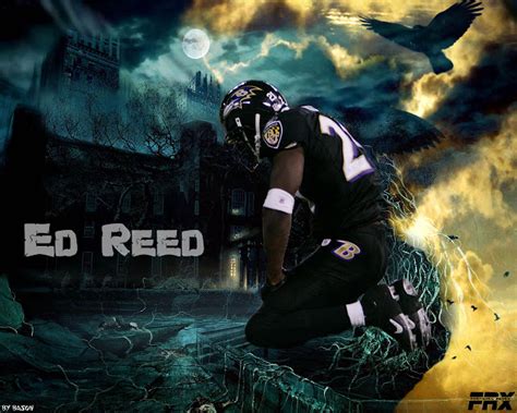 NFL Wallpapers: Ed Reed - Baltimore Ravens