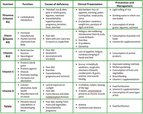 Macronutrients Vs Micronutrients Plants | nutrienkarbo