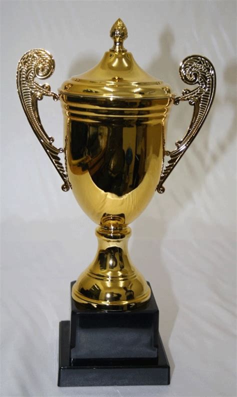 Large Trophy – Tanushh.com