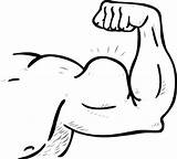 Download High Quality arm Clipart coloring Transparent PNG Images  Art sketch template