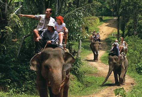 BALI ELEPHANT RIDE TOUR PACKAGE | Bali tours, Bali climbing tour, Bali cooking class