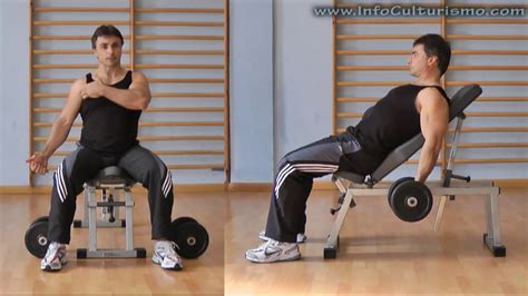 Curl De Biceps En Banco | vlr.eng.br