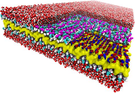 Newly Discovered ‘Design Rule’ Brings Nature-Inspired Nanostructures One Step Closer - Berkeley ...