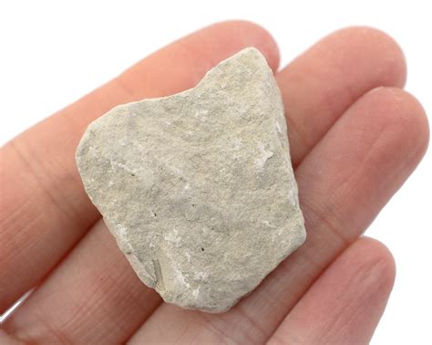 Raw Limestone Chalk, Sedimentary Rock Specimen - Approx. 1" - Geologis ...