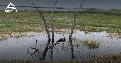 Best trails in Brooks, Alberta | AllTrails