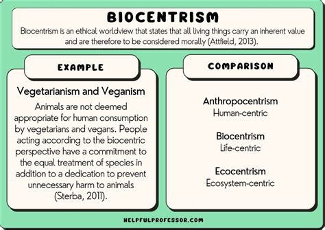 Biocentrism: 10 Examples and Easy Definition (2024)