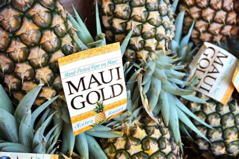 The Maui Gold Pineapple - Minneopa Orchards