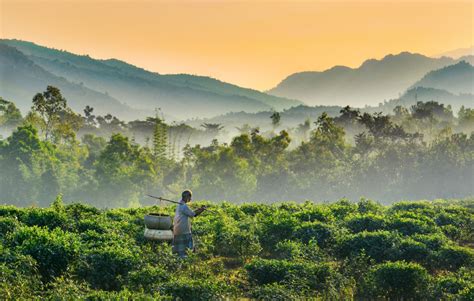 Bangladesh Tourism: Present Status and Future Prospects – UZ BANGLA