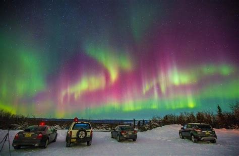 Ice Bars, Northern Lights and Dog Sleds on this Alaska Adventure Tour