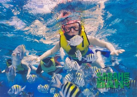 Snorkeling & Island Hopping - SabahBah.com