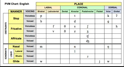 What Are Vowels and Consonants? The Difference | TPR Teaching