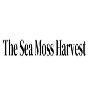 The Sea Moss Harvest Experiences & Reviews