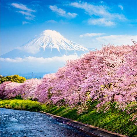 Spring travel guide 10 tips for visiting japan in spring live japan ...