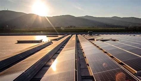 Solar Stocks Have Been Thriving—Here’s Why That Could Continue | Euromena Energy