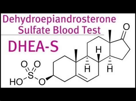 DHEA Sulfate Demystified: Your Guide to Hormonal Harmony