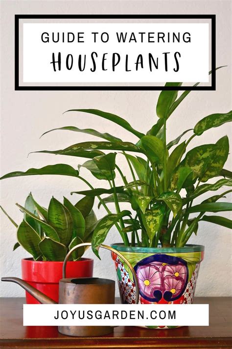 Watering Indoor Plants, A Complete Guide | Joy Us Garden | Easy garden ...