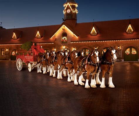 Creative Decorating: 4th of July in St. Louis | Budweiser clydesdales, Clydesdale horses ...