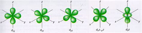 Shapes of atomic orbital | Chemistry, Class 11, Structure Of Atom