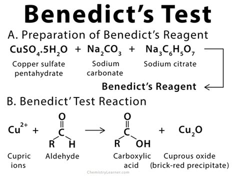 Benedict’s test: Definition, Principle, Uses, and Reagent