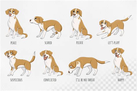 Dogs body language. Cartoon style illustrations funny dog By Susik Shop ...