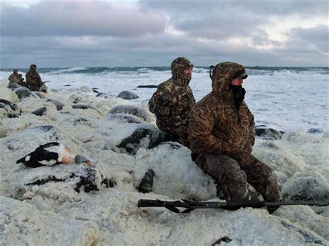 ALASKA KING EIDER HUNTING: QUEST FOR A KING - Ramsey Russell's GetDucks.com