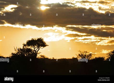 Sunset, Masai Mara Stock Photo - Alamy