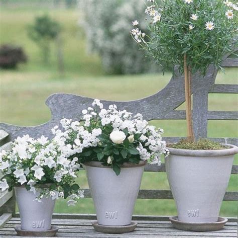 White Flowers In Your Garden