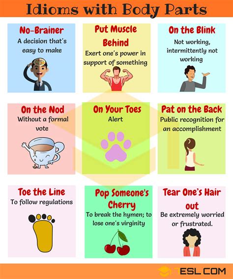 60 Commonly Used Body Parts Idioms in English (Part II) - 7 E S L