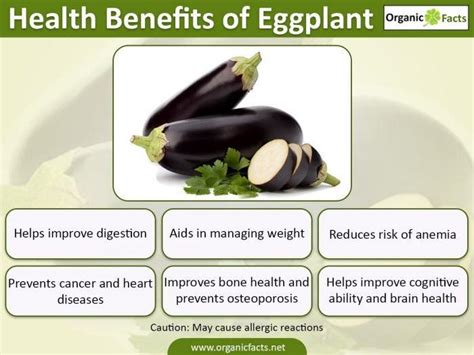 9 Amazing Benefits of Eggplant - SAFIMEX JOINT STOCK COMPANY