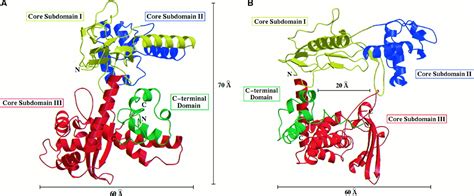 Crystal Structures of Human Topoisomerase I in Covalent and Noncovalent Complexes with DNA | Science