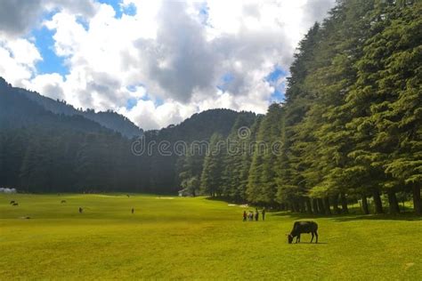 Khajjiar, The `Mini Switzerland Of India,` As It Is Often Dubbed, Is A ...