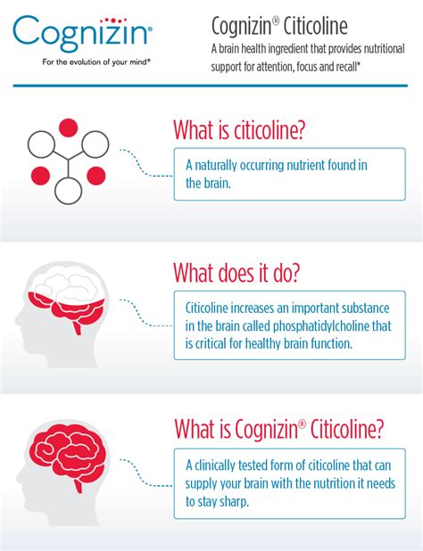 Cognizin® Citicoline Infographic - Cognizin