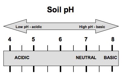 Soil Acidity and Liming: Basic Information for Farmers and Gardeners | NC State Extension ...