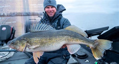 Where and How to Find Walleye: Fish Finder Tips - Humminbird