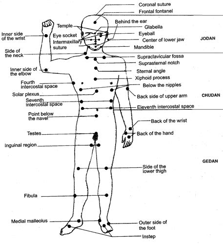 Human Body Pressure Points Diagram | Body pressure points, Human pressure points, Pressure points