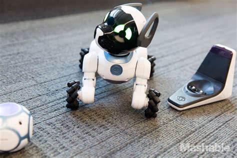 Meet CHiP: The World's First Lovable Robot Dog