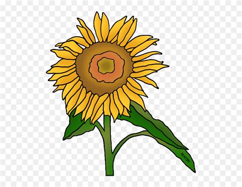 Download Sunflower Clipart Kansas - Clip Art - Png Download (#5274337 ...