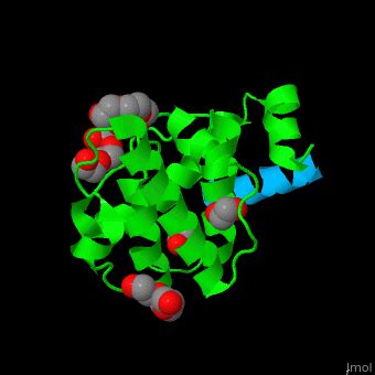 Paxillin - Proteopedia, life in 3D