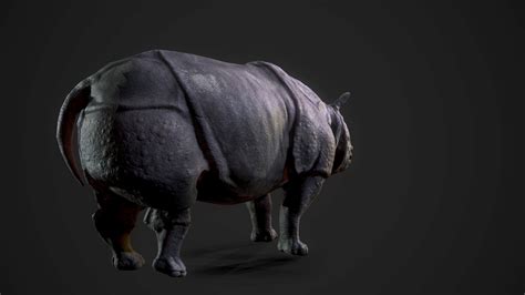 ArtStation - Indian Rhinoceros - Game Ready | Game Assets