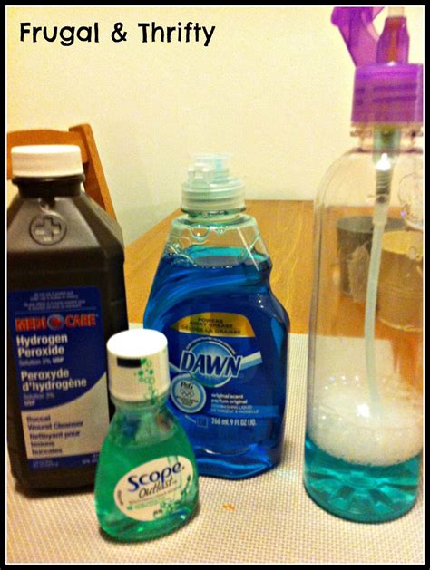 Frugal & Thrifty : Ant Killer Spray