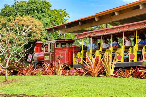 Dole Pineapple Plantation | Tour Stop Tips, Info & Sweet Treats