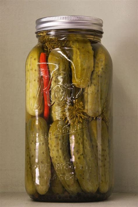 A Pickle Jar Ritual - A doctor's account of battling Covid-19 everyday | Medium