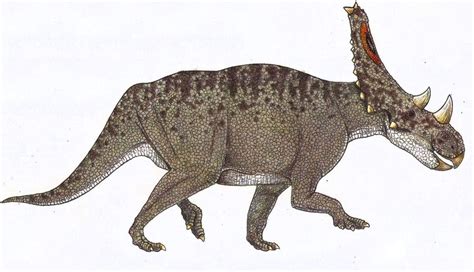 Chasmosaurus Pictures & Facts - The Dinosaur Database