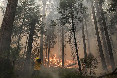 Yosemite fire: Crews defend Gold Country