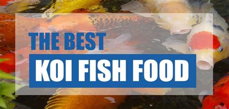 A guide to the best koi food on the market, as well as advice on the ...