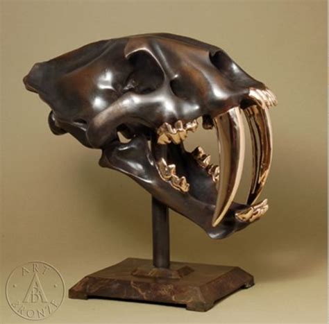 Saber Tooth Tiger Skull in Fine Cast Bronze | eBay | Tiger skull, Cast bronze, Sabertooth